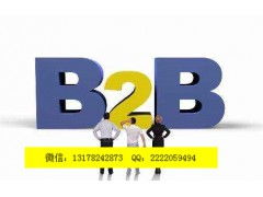 B2B发布软件枣庄新闻网 衢州亿凌云推广